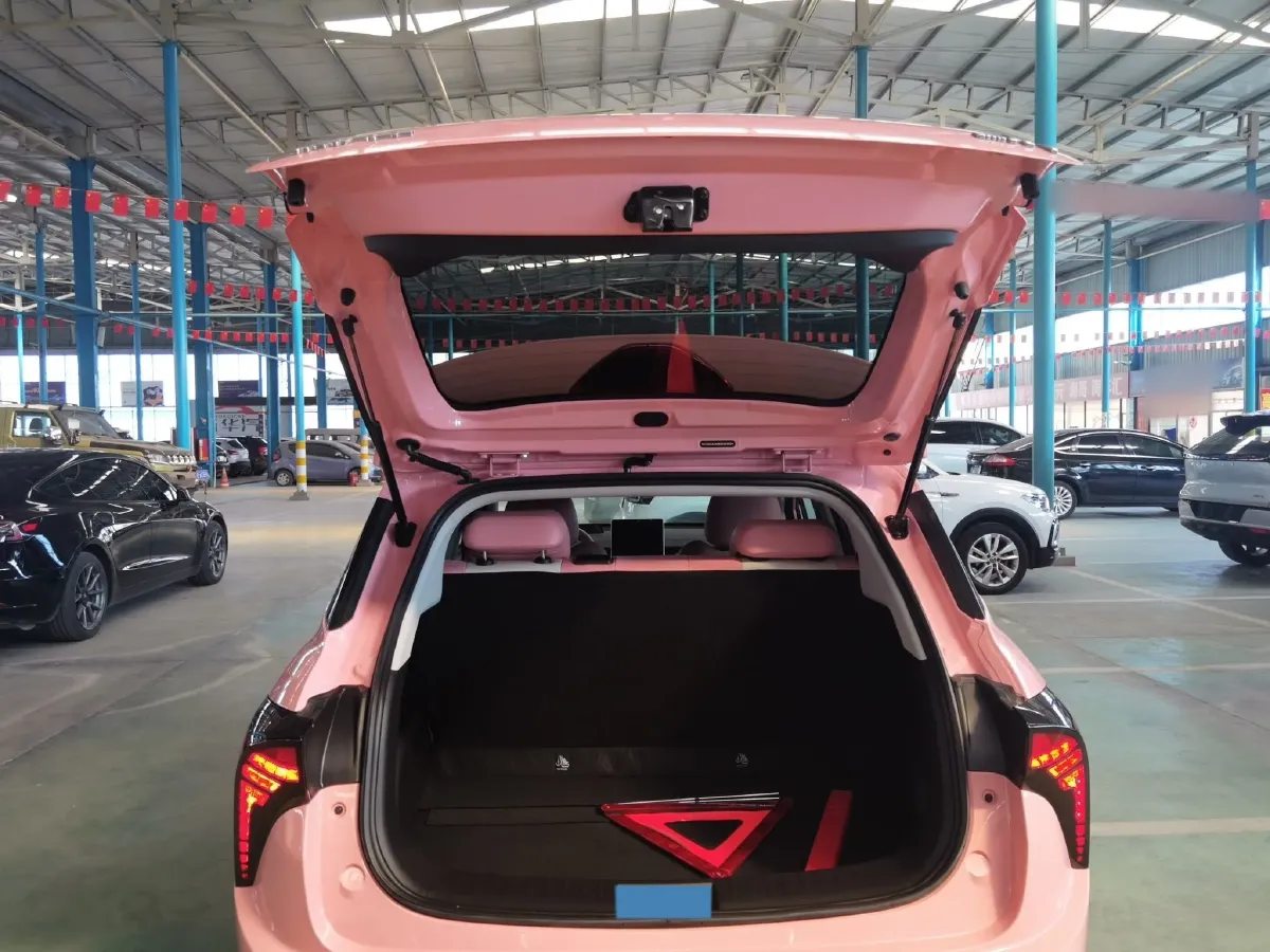 2021 Neta V BEV 38.54KWH,autocango,china used car exporter,china ev exporter,chinese used car exporter,chinese used ev exporter