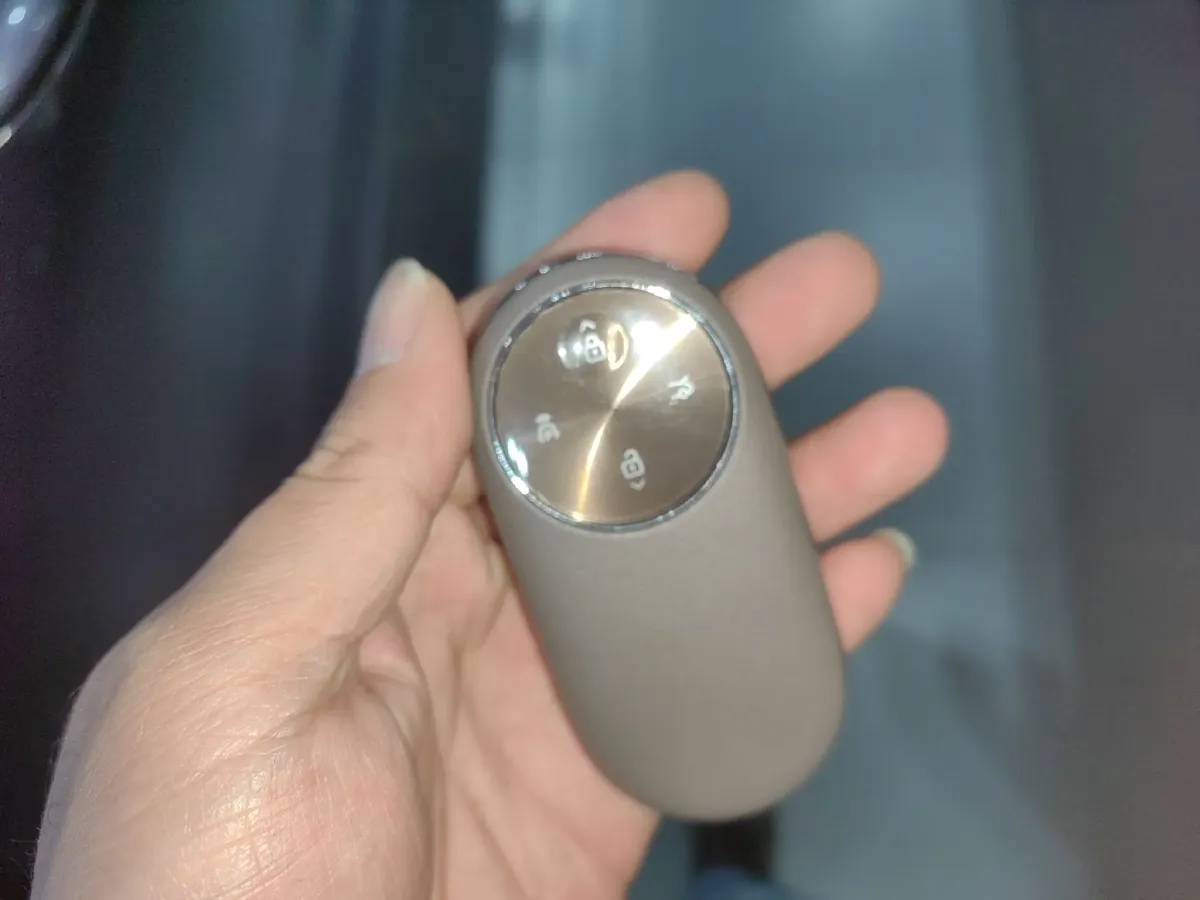 2025 HIMA Stelato S9 REEV 160HP REEV,autocango,china used car exporter,china ev exporter,chinese used car exporter,chinese used ev exporter