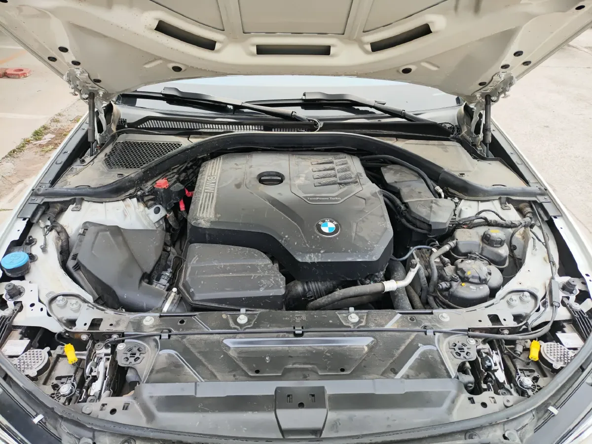 2021 BMW 3 Series 2.0T 156HP L4 8AT,autocango,china used car exporter,china ev exporter,chinese used car exporter,chinese used ev exporter