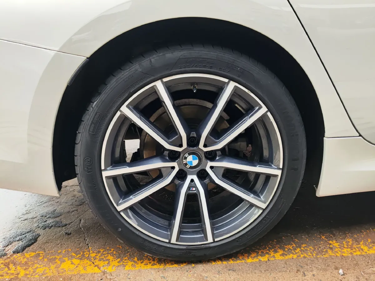 2021 BMW 3 Series 2.0T 156HP L4 8AT,autocango,china used car exporter,china ev exporter,chinese used car exporter,chinese used ev exporter