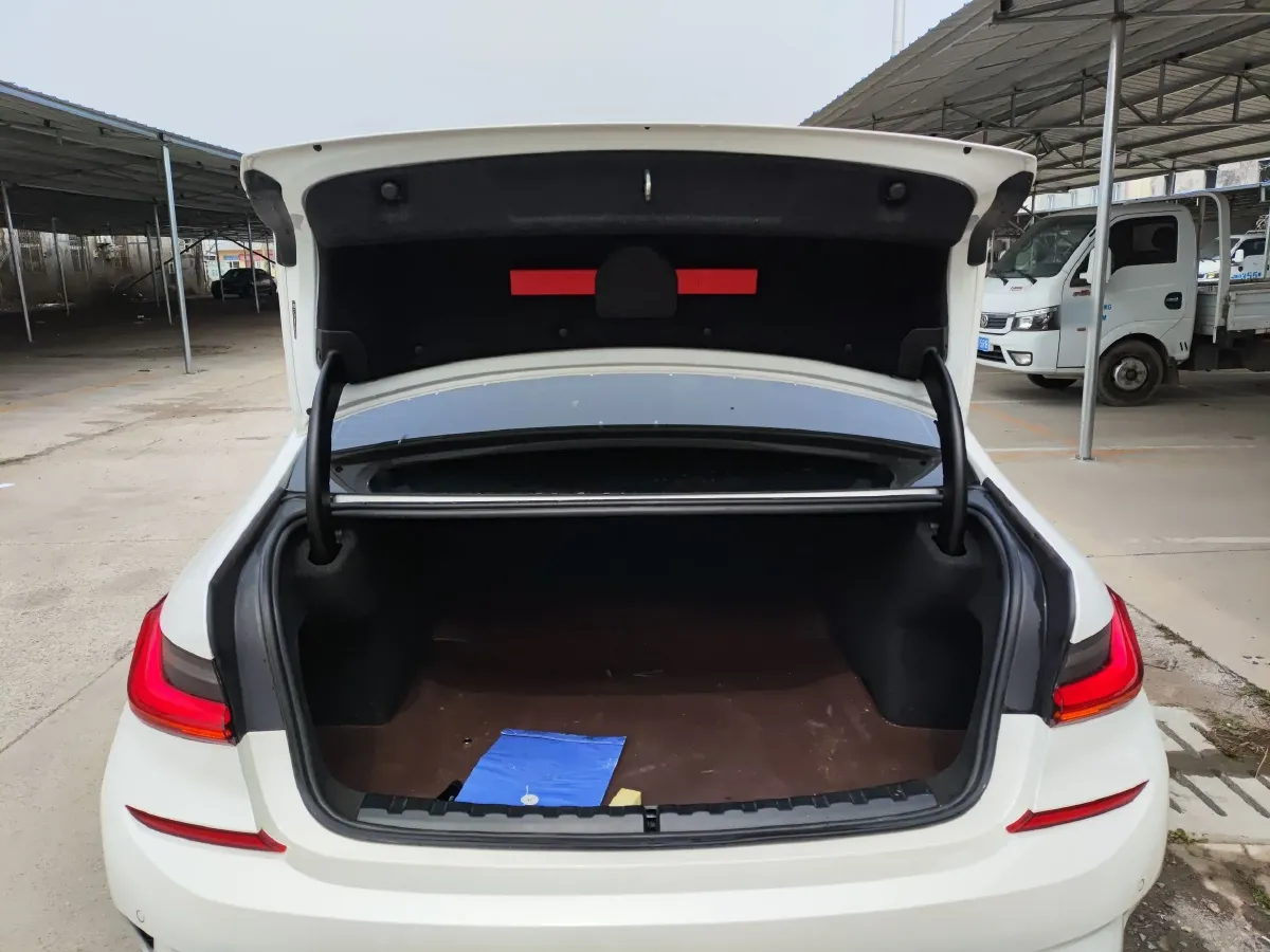 2021 BMW 3 Series 2.0T 156HP L4 8AT,autocango,china used car exporter,china ev exporter,chinese used car exporter,chinese used ev exporter