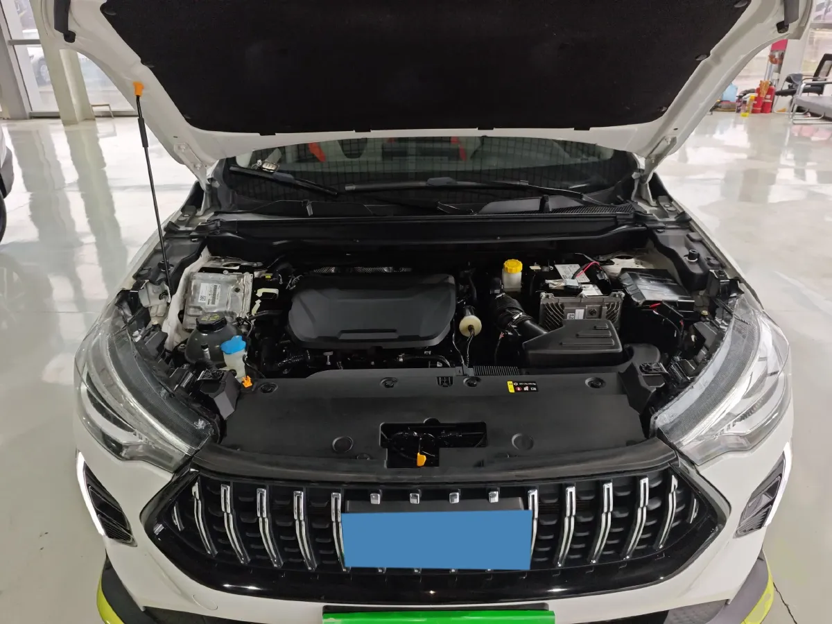 2021 Haval Rabbit 1.5T 184HP L4 7DCT,autocango,china used car exporter,china ev exporter,chinese used car exporter,chinese used ev exporter