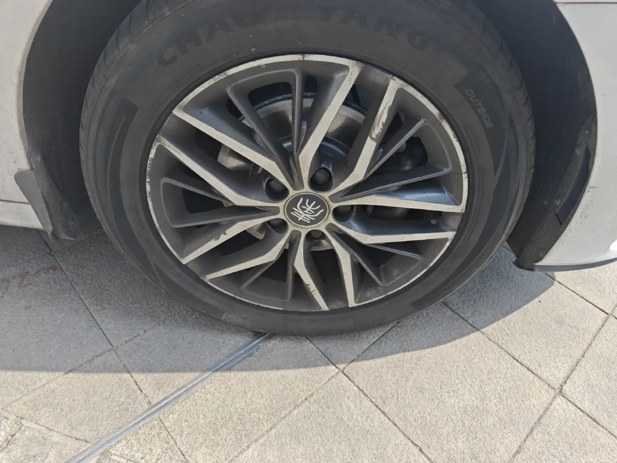 2019 BYD Qin Pro BEV 56.4KWH,autocango,china used car exporter,china ev exporter,chinese used car exporter,chinese used ev exporter