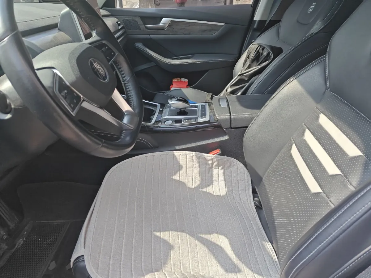 2019 BYD Qin Pro BEV 56.4KWH,autocango,china used car exporter,china ev exporter,chinese used car exporter,chinese used ev exporter