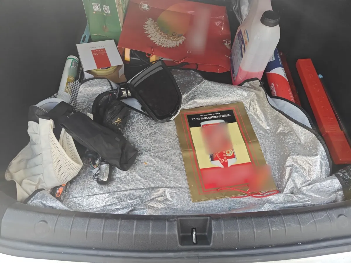 2019 BYD Qin Pro BEV 56.4KWH,autocango,china used car exporter,china ev exporter,chinese used car exporter,chinese used ev exporter