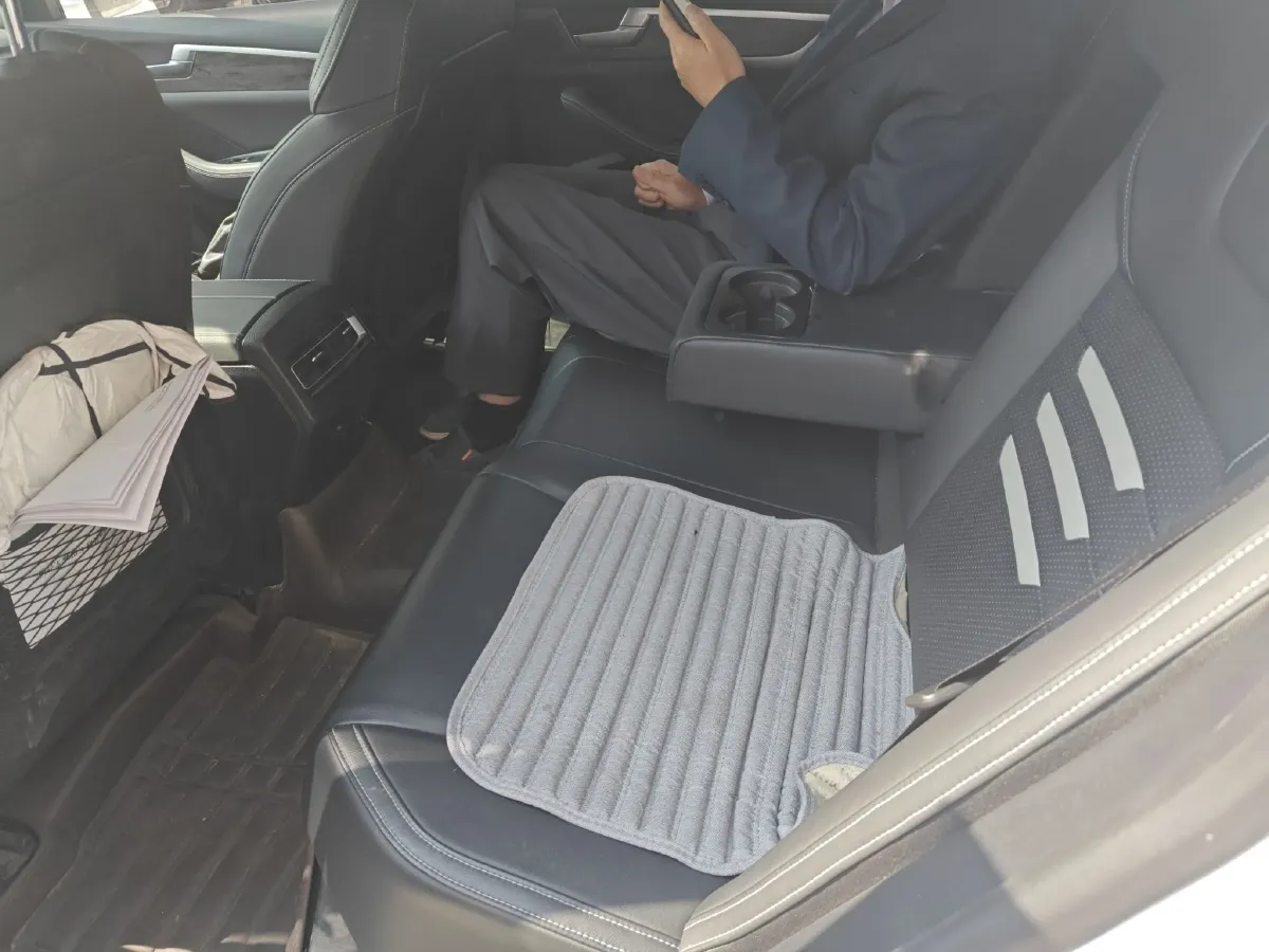 2019 BYD Qin Pro BEV 56.4KWH,autocango,china used car exporter,china ev exporter,chinese used car exporter,chinese used ev exporter