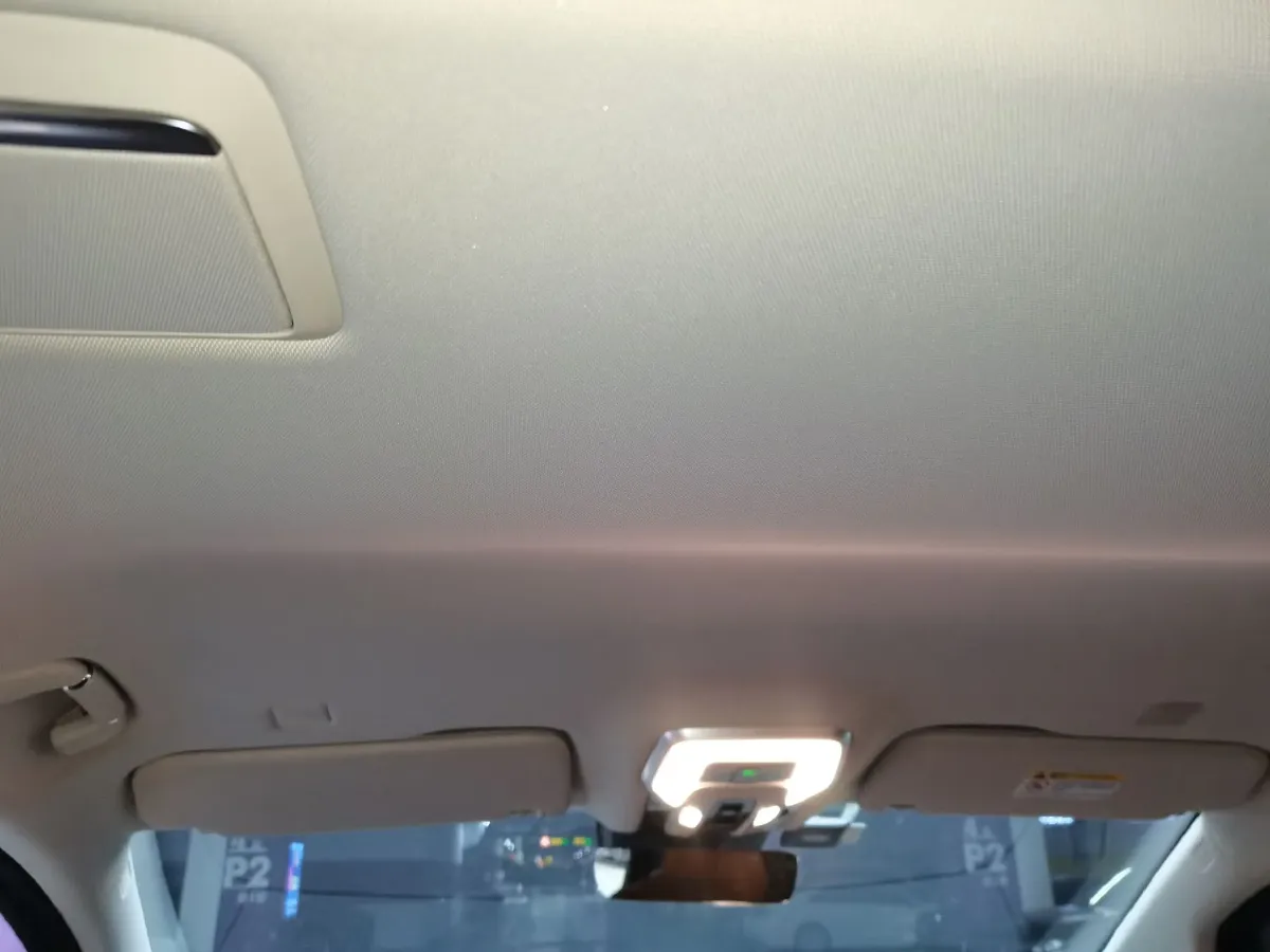 2023 HongQi HQ9 2.0T 252HP L4 8AT,autocango,china used car exporter,china ev exporter,chinese used car exporter,chinese used ev exporter