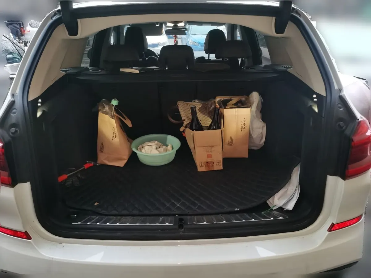 2021 BMW X3 2.0T 224HP L4 8AT,autocango,china used car exporter,china ev exporter,chinese used car exporter,chinese used ev exporter