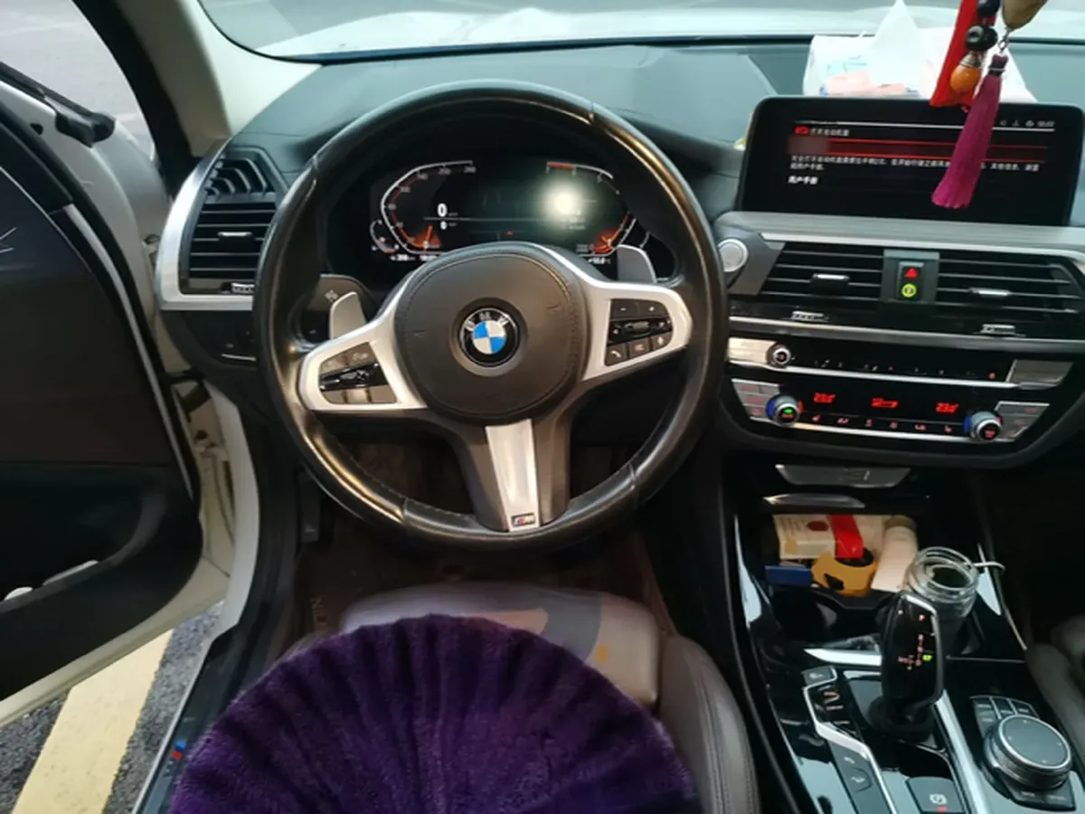 2021 BMW X3 2.0T 224HP L4 8AT,autocango,china used car exporter,china ev exporter,chinese used car exporter,chinese used ev exporter