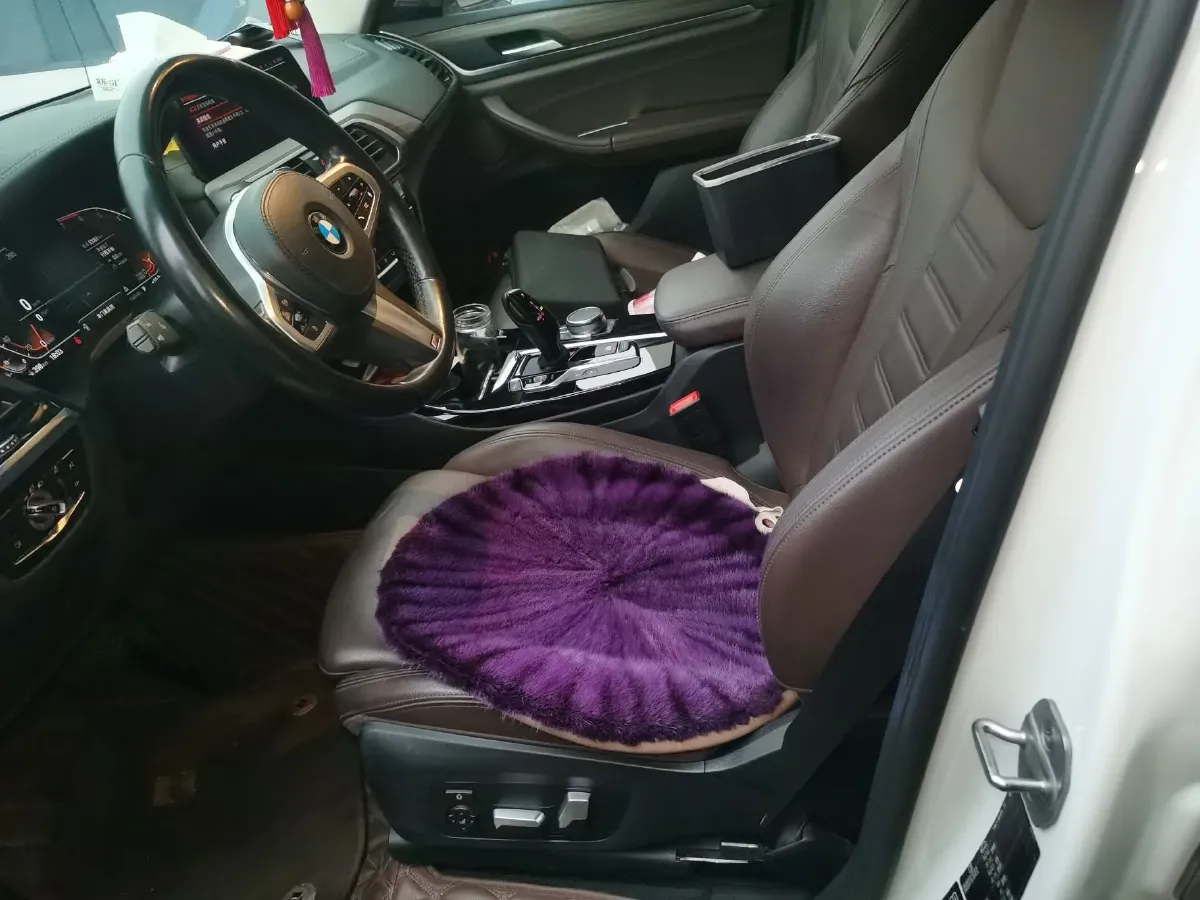 2021 BMW X3 2.0T 224HP L4 8AT,autocango,china used car exporter,china ev exporter,chinese used car exporter,chinese used ev exporter