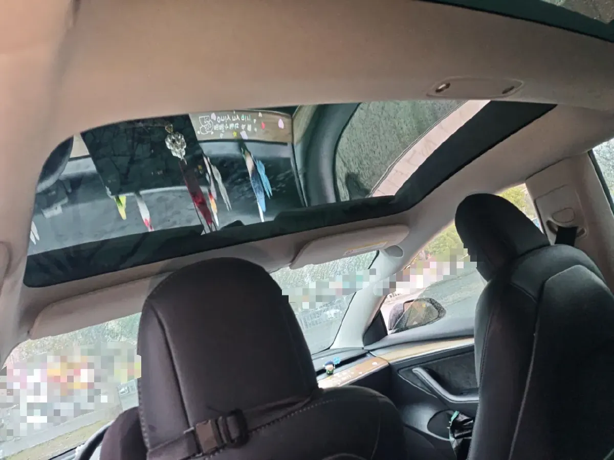 2022 Tesla Model 3 BEV 60KWH,autocango,china used car exporter,china ev exporter,chinese used car exporter,chinese used ev exporter