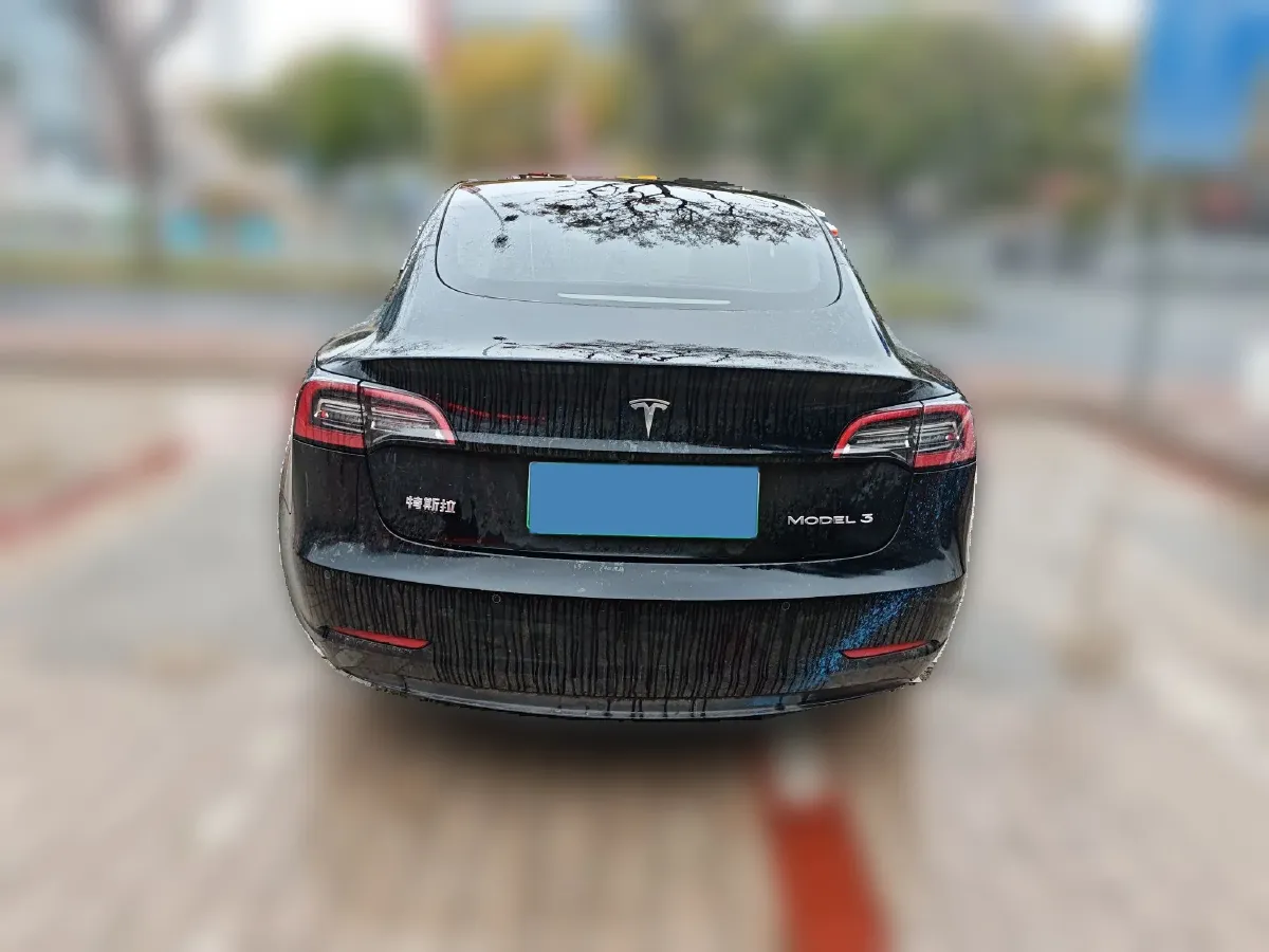 2022 Tesla Model 3 BEV 60KWH,autocango,china used car exporter,china ev exporter,chinese used car exporter,chinese used ev exporter