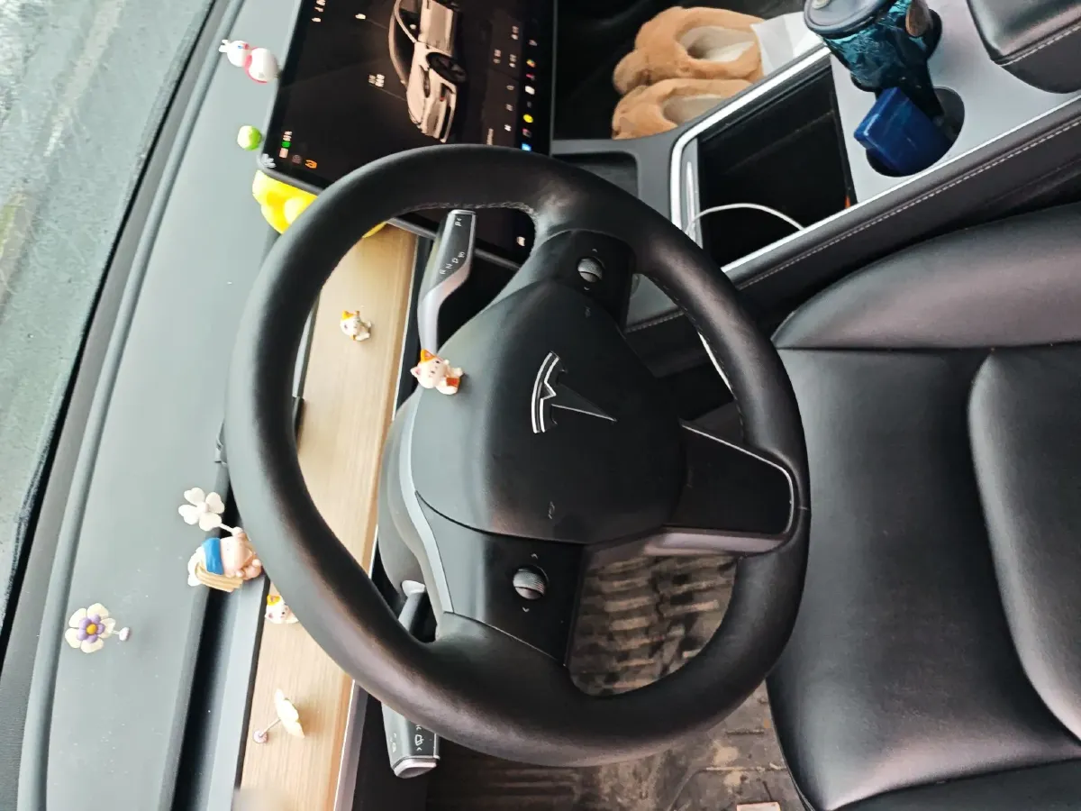 2022 Tesla Model 3 BEV 60KWH,autocango,china used car exporter,china ev exporter,chinese used car exporter,chinese used ev exporter