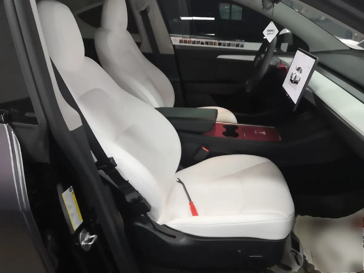 2022 Tesla Model Y BEV 60KWH,autocango,china used car exporter,china ev exporter,chinese used car exporter,chinese used ev exporter