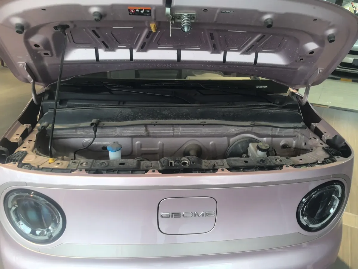 2023 Geely Galaxy Panda BEV 17.03KWH,autocango,china used car exporter,china ev exporter,chinese used car exporter,chinese used ev exporter