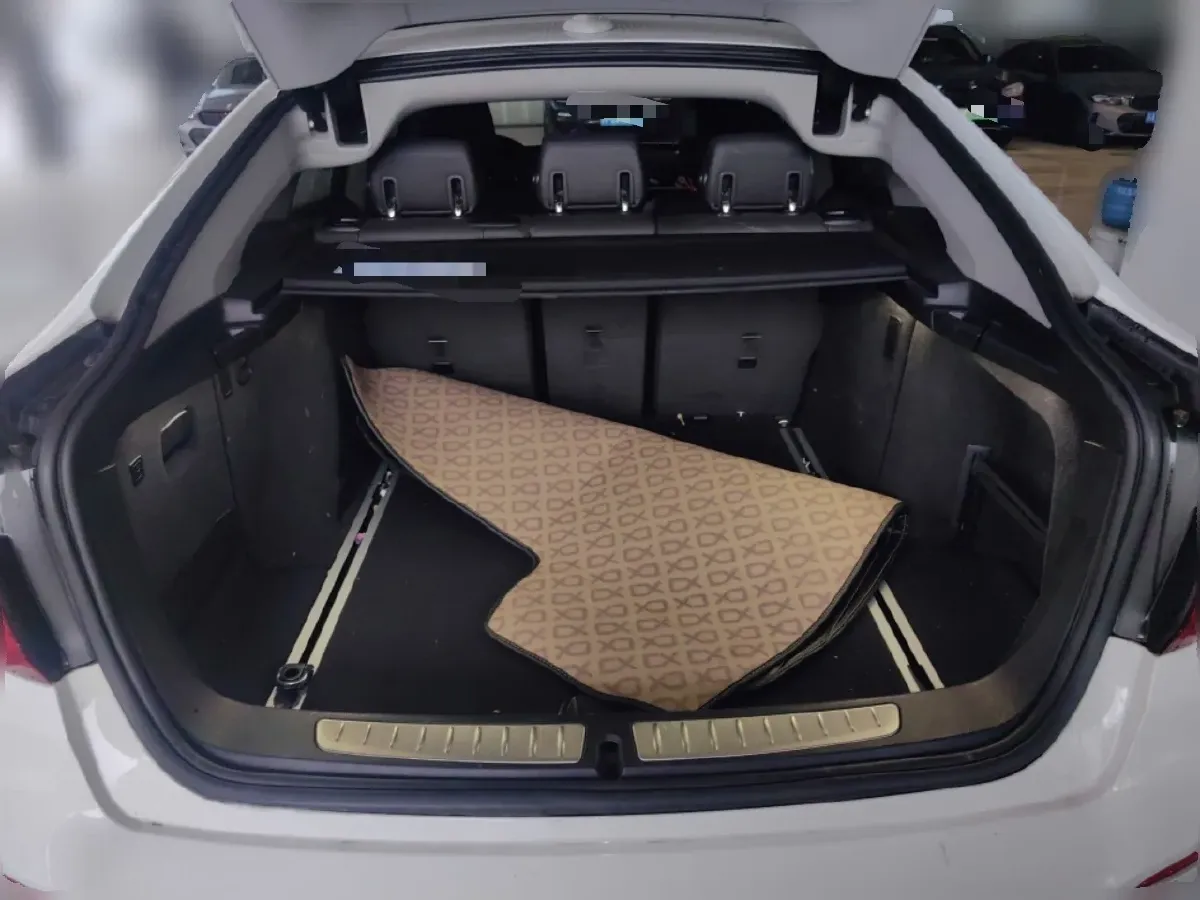 2019 BMW 3 Series GT 2.0T 184HP L4 8AT,autocango,china used car exporter,china ev exporter,chinese used car exporter,chinese used ev exporter