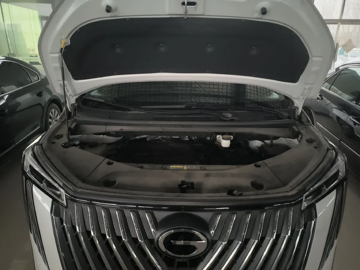 2024 GAC Trumpchi M8 2.0T 252HP L4 8AT,autocango,china used car exporter,china ev exporter,chinese used car exporter,chinese used ev exporter