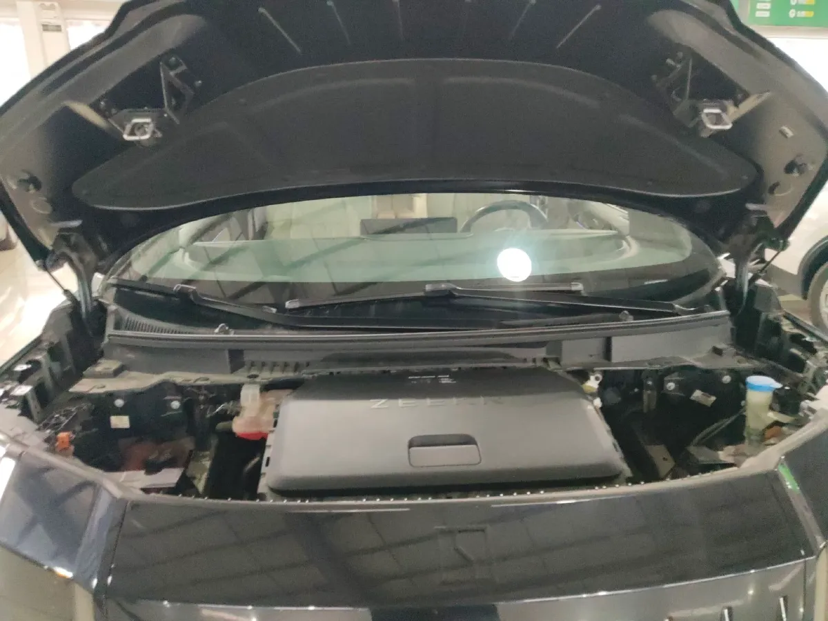 2022 Zeekr 009 BEV 116KWH,autocango,china used car exporter,china ev exporter,chinese used car exporter,chinese used ev exporter