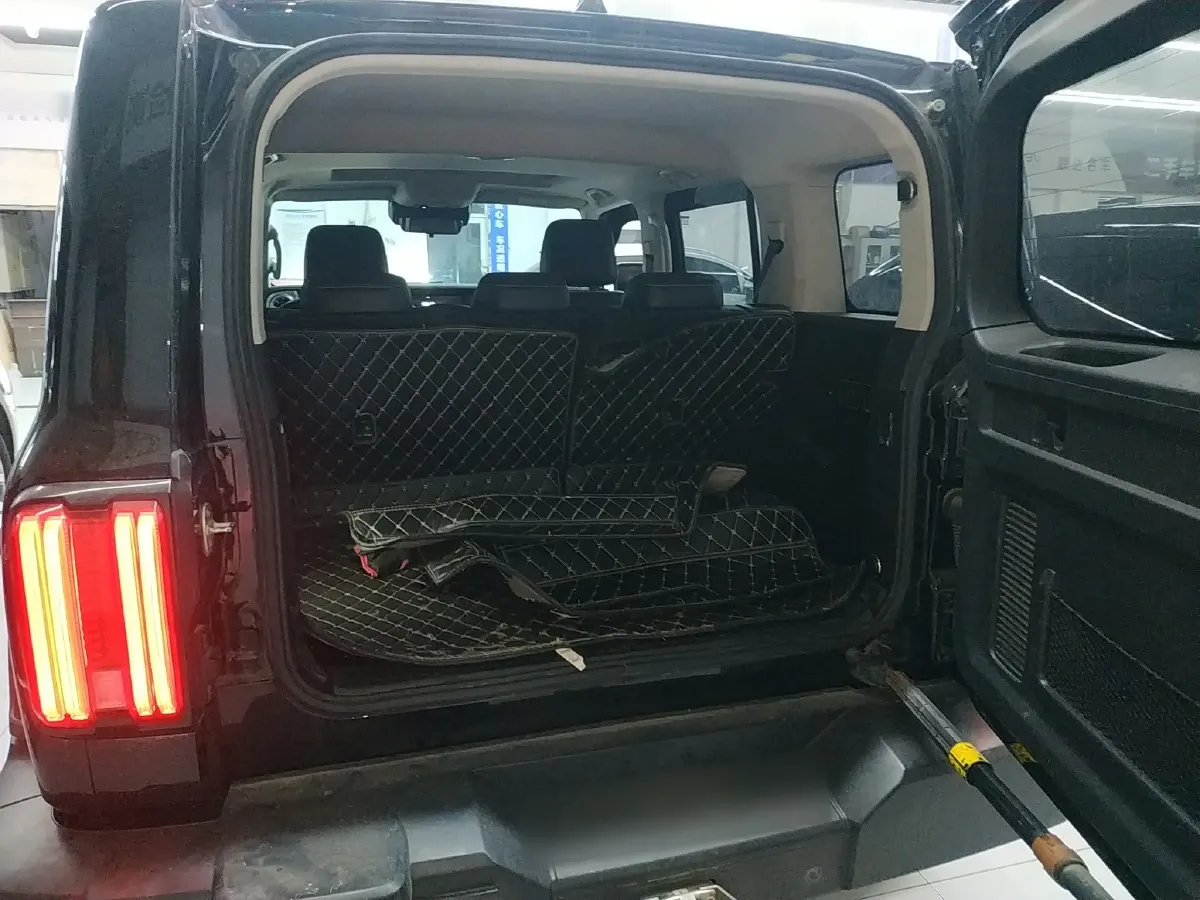 2021 Tank 300 2.0T 227HP L4 8AT,autocango,china used car exporter,china ev exporter,chinese used car exporter,chinese used ev exporter