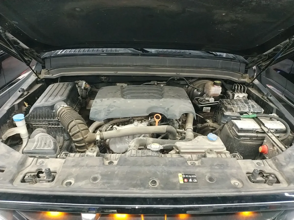 2021 Tank 300 2.0T 227HP L4 8AT,autocango,china used car exporter,china ev exporter,chinese used car exporter,chinese used ev exporter