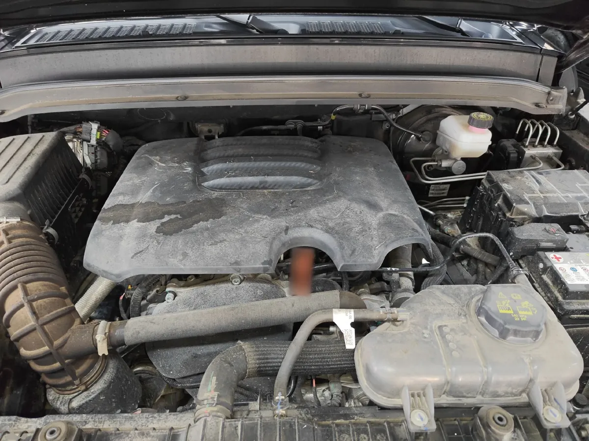 2024 Tank 300 2.0T 227HP L4 8AT,autocango,china used car exporter,china ev exporter,chinese used car exporter,chinese used ev exporter