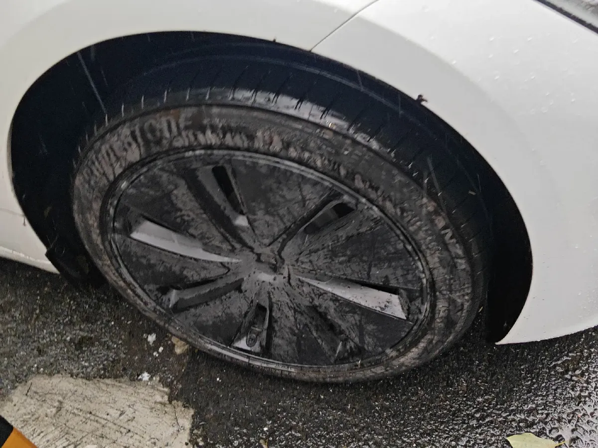 2025 Tesla Model 3 BEV,autocango,china used car exporter,china ev exporter,chinese used car exporter,chinese used ev exporter