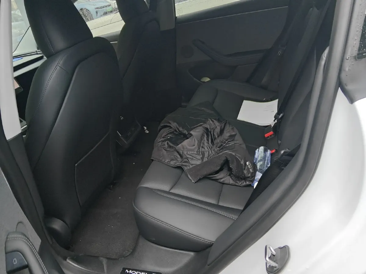 2025 Tesla Model 3 BEV,autocango,china used car exporter,china ev exporter,chinese used car exporter,chinese used ev exporter