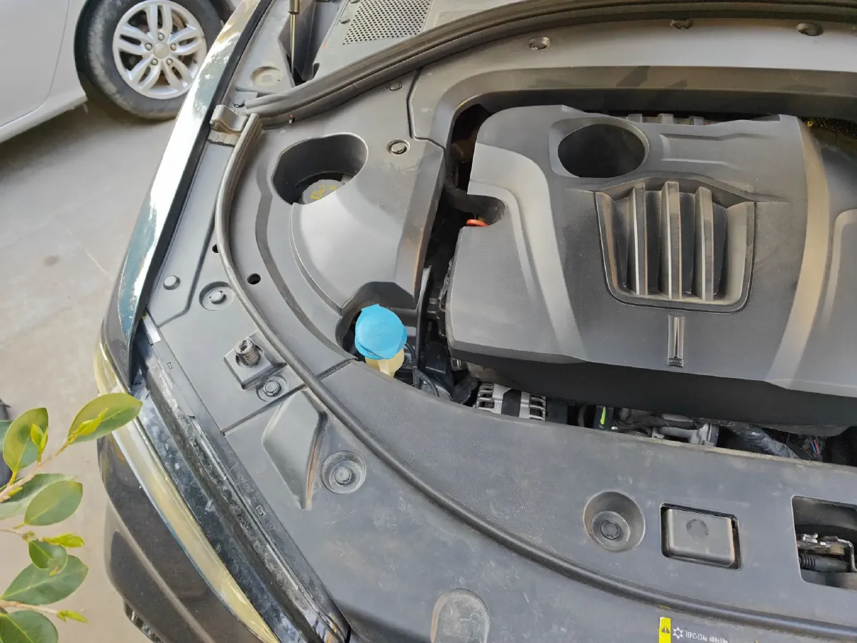 2020 Ford Transit 2.0T 202HP L4 6AT,autocango,china used car exporter,china ev exporter,chinese used car exporter,chinese used ev exporter