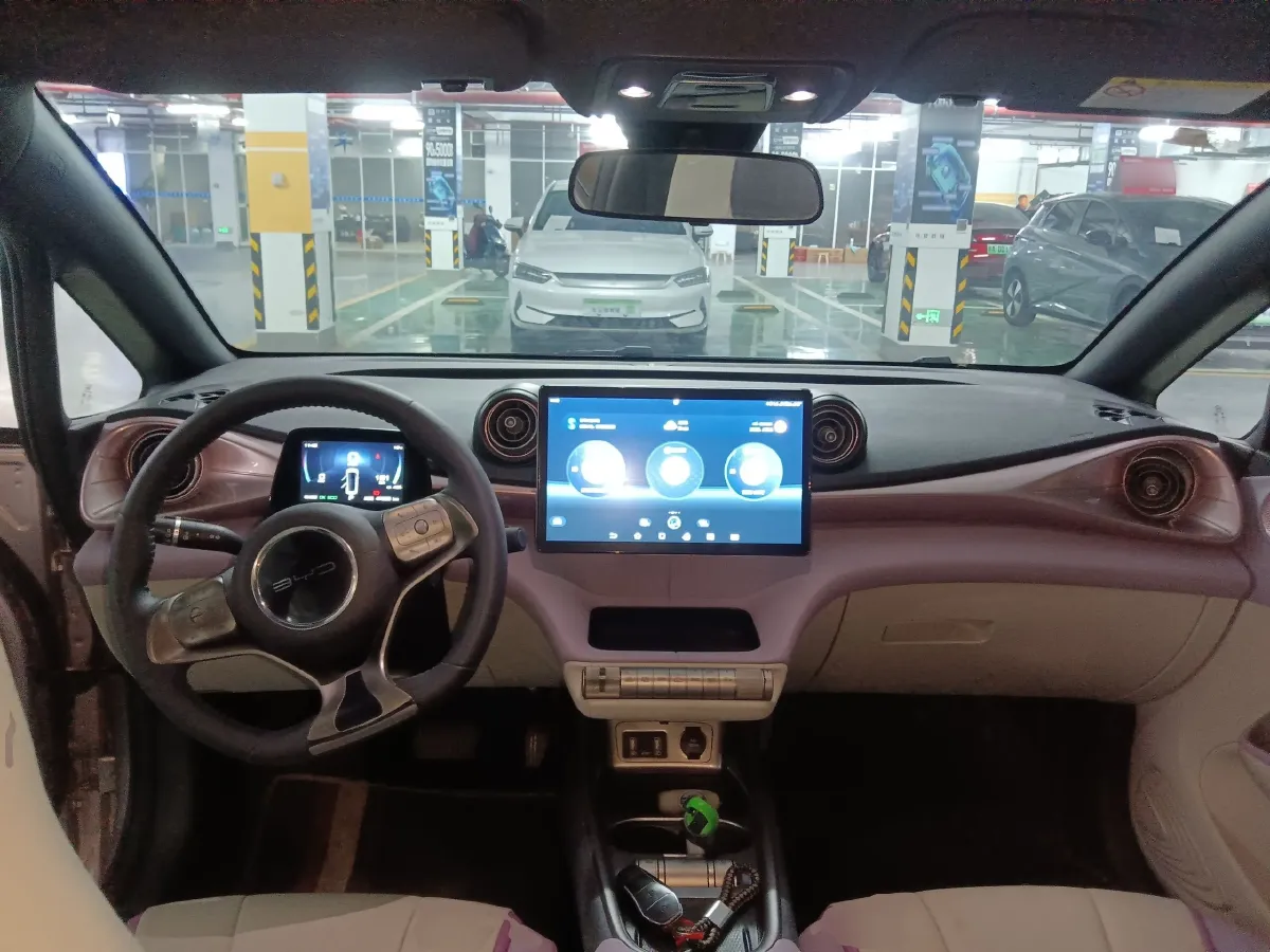 2021 BYD Dolphin BEV 44.9KWH,autocango,china used car exporter,china ev exporter,chinese used car exporter,chinese used ev exporter