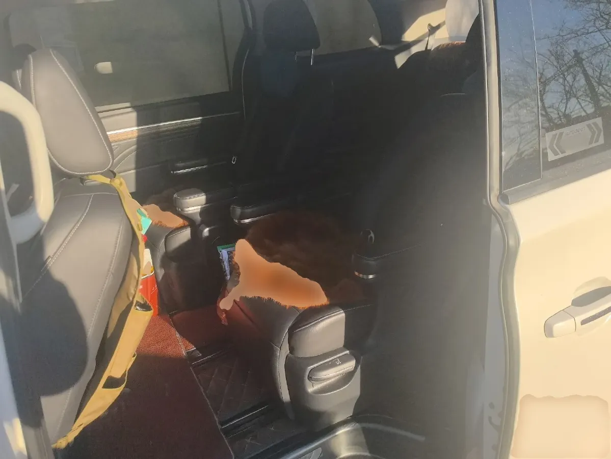 2021 GAC Trumpchi M8 2.0T 252HP L4 8AT,autocango,china used car exporter,china ev exporter,chinese used car exporter,chinese used ev exporter