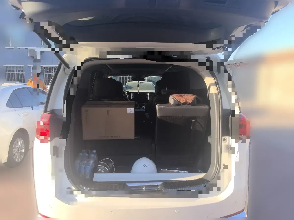 2021 GAC Trumpchi M8 2.0T 252HP L4 8AT,autocango,china used car exporter,china ev exporter,chinese used car exporter,chinese used ev exporter