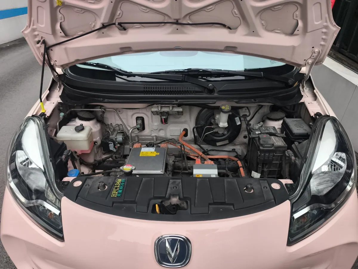 2021 ChangAn BenBen E-Star BEV 31.86KWH,autocango,china used car exporter,china ev exporter,chinese used car exporter,chinese used ev exporter