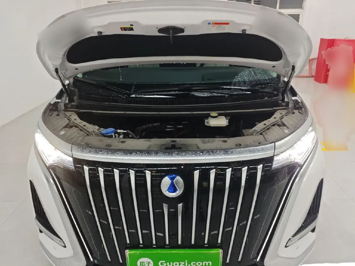 2025 Denza D9 BEV 103KWH,autocango,china used car exporter,china ev exporter,chinese used car exporter,chinese used ev exporter