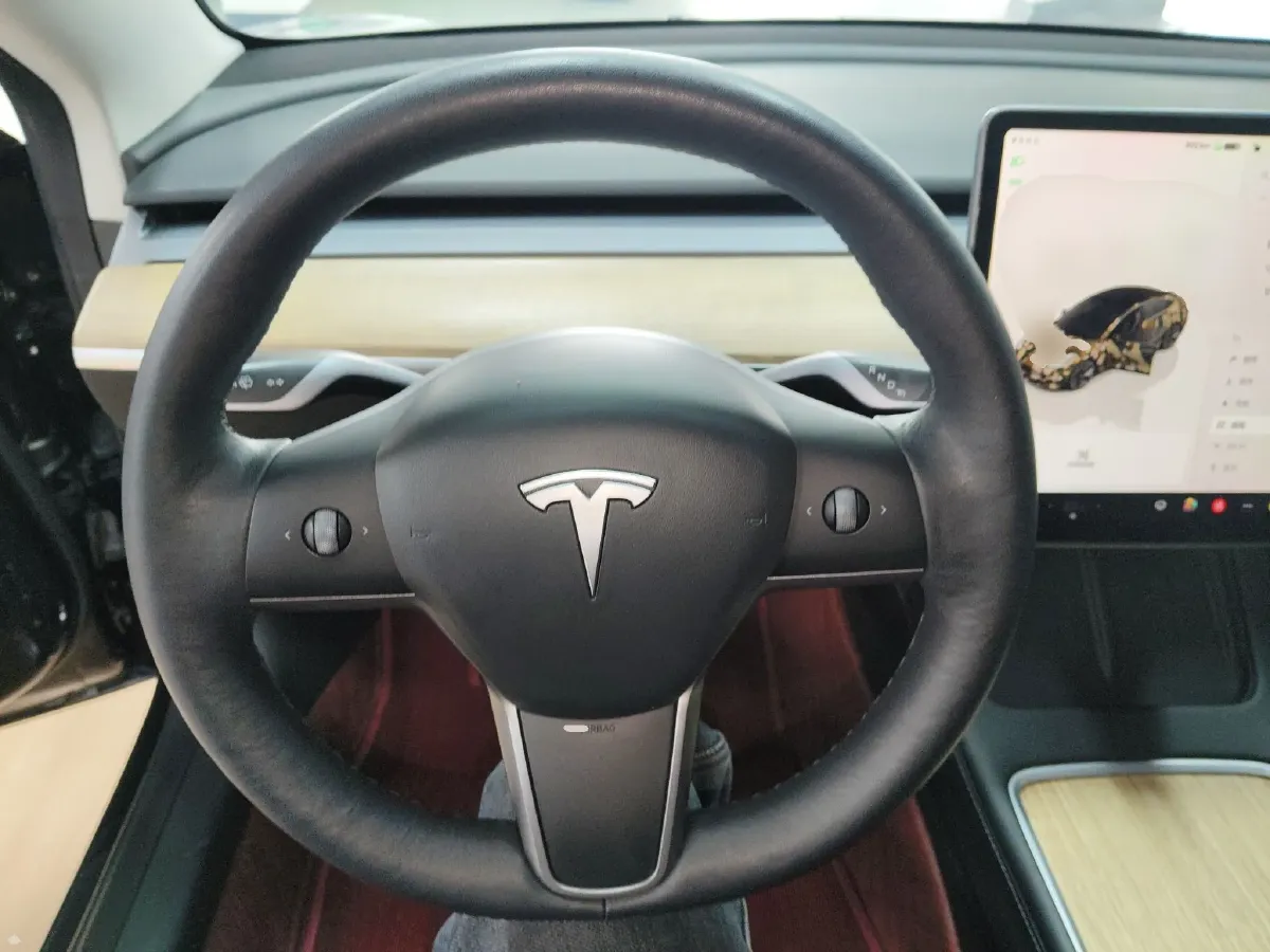 2022 Tesla Model 3 BEV 60KWH,autocango,china used car exporter,china ev exporter,chinese used car exporter,chinese used ev exporter