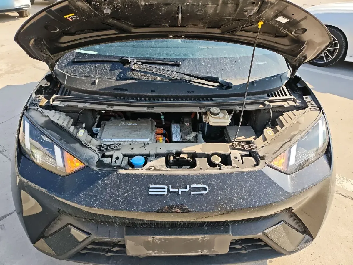 2023 BYD Seagull BEV 38.88KWH,autocango,china used car exporter,china ev exporter,chinese used car exporter,chinese used ev exporter