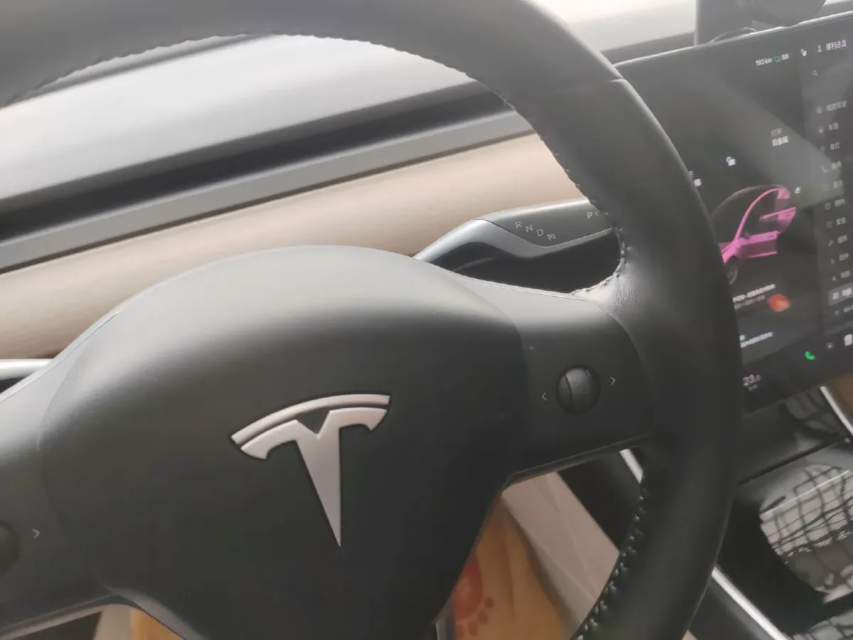 2019 Tesla Model 3 BEV 52KWH,autocango,china used car exporter,china ev exporter,chinese used car exporter,chinese used ev exporter