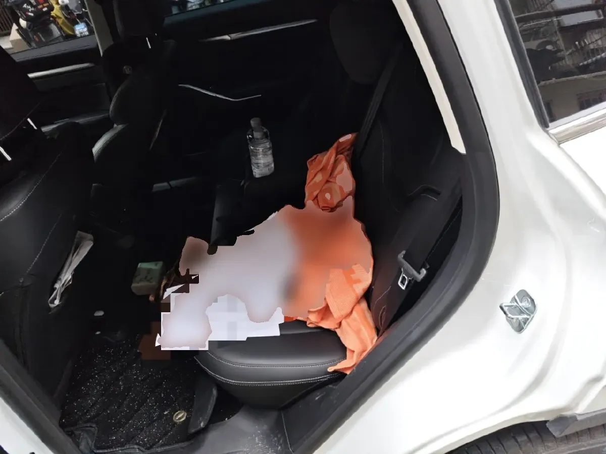 2021 Haval H6 2.0T 211HP L4 7DCT,autocango,china used car exporter,china ev exporter,chinese used car exporter,chinese used ev exporter