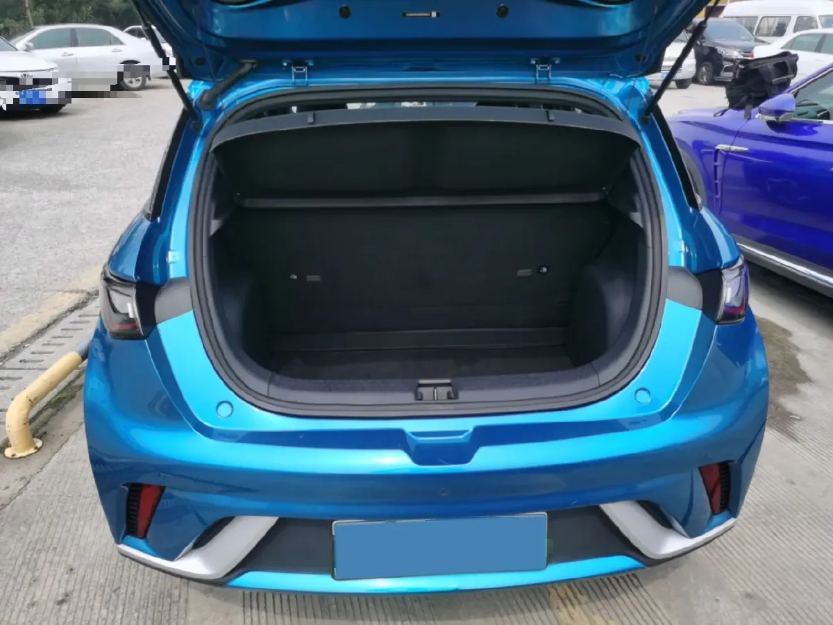 2021 BYD Dolphin BEV 44.9KWH,autocango,china used car exporter,china ev exporter,chinese used car exporter,chinese used ev exporter