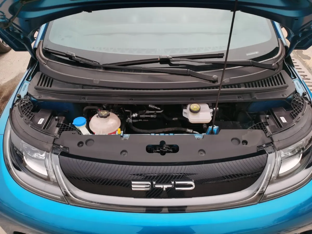 2021 BYD Dolphin BEV 44.9KWH,autocango,china used car exporter,china ev exporter,chinese used car exporter,chinese used ev exporter