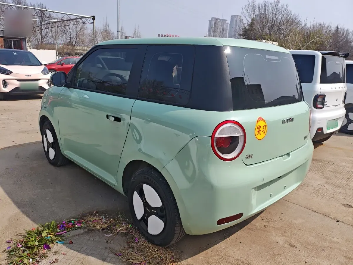2022 ChangAn QiYuan Lumin BEV 27.99KWH,autocango,china used car exporter,china ev exporter,chinese used car exporter,chinese used ev exporter