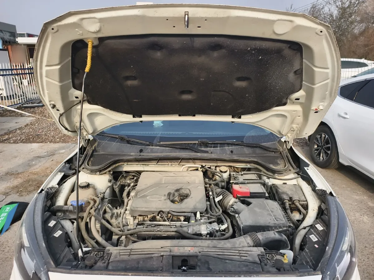 2020 Ford Focus Active 1.5T 174HP L3 8AT,autocango,china used car exporter,china ev exporter,chinese used car exporter,chinese used ev exporter