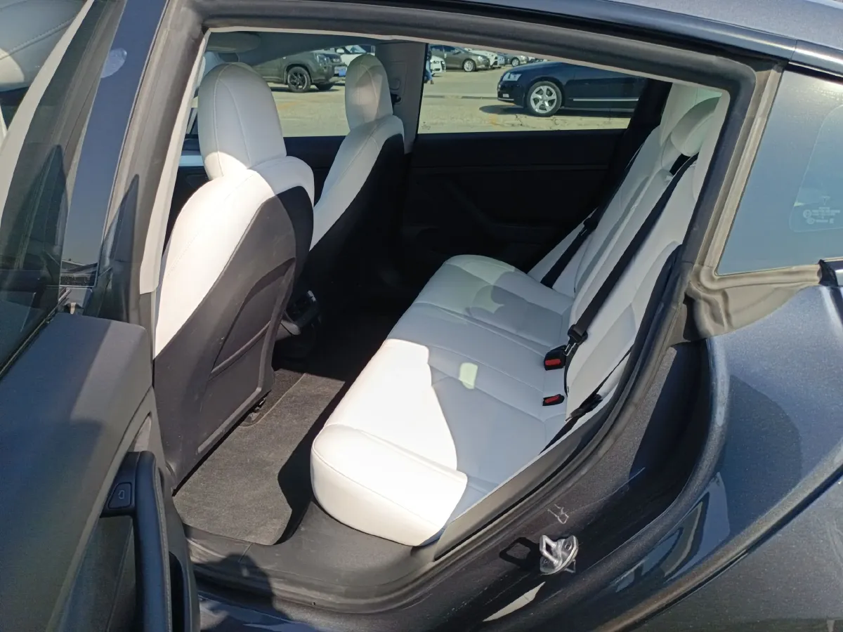 2021 Tesla Model 3 BEV 76.8KWH,autocango,china used car exporter,china ev exporter,chinese used car exporter,chinese used ev exporter