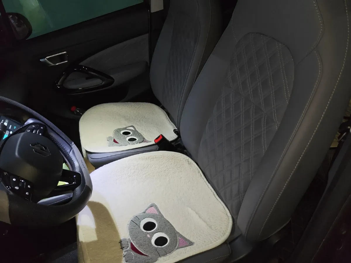 2021 Leapmotor T03 BEV 38KWH,autocango,china used car exporter,china ev exporter,chinese used car exporter,chinese used ev exporter