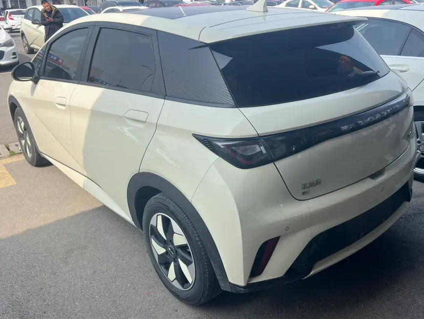 2024 BYD Dolphin BEV 44.928KWH,autocango,china used car exporter,china ev exporter,chinese used car exporter,chinese used ev exporter