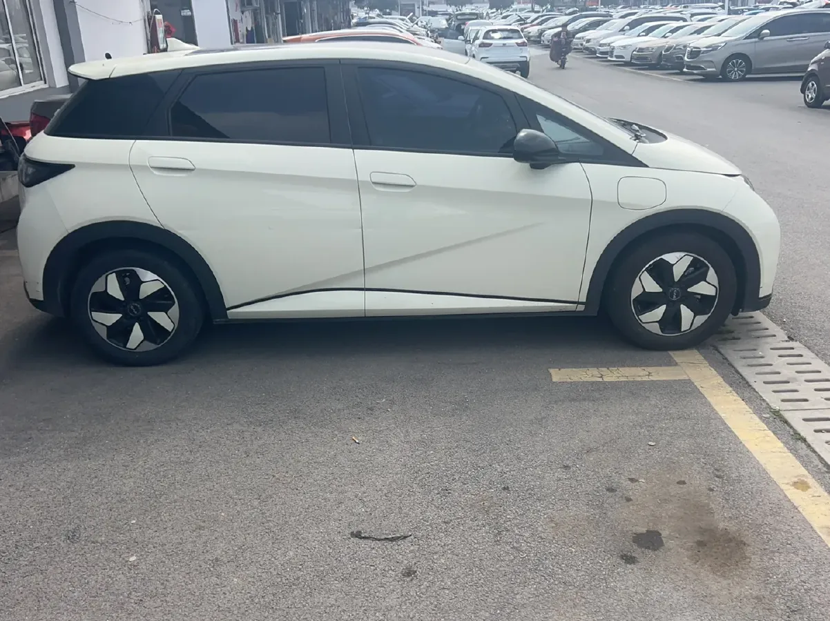 2024 BYD Dolphin BEV 44.928KWH,autocango,china used car exporter,china ev exporter,chinese used car exporter,chinese used ev exporter