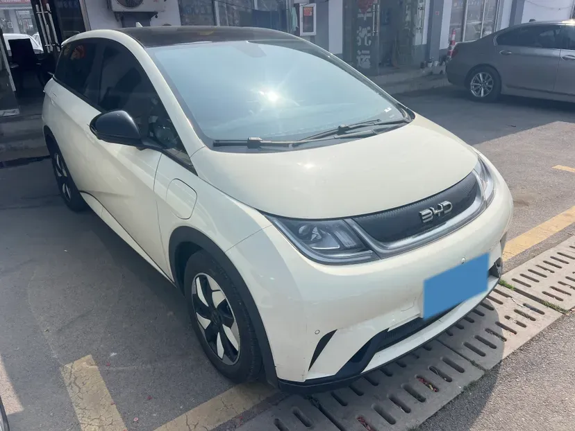 2024 BYD Dolphin BEV 44.928KWH,autocango,china used car exporter,china ev exporter,chinese used car exporter,chinese used ev exporter