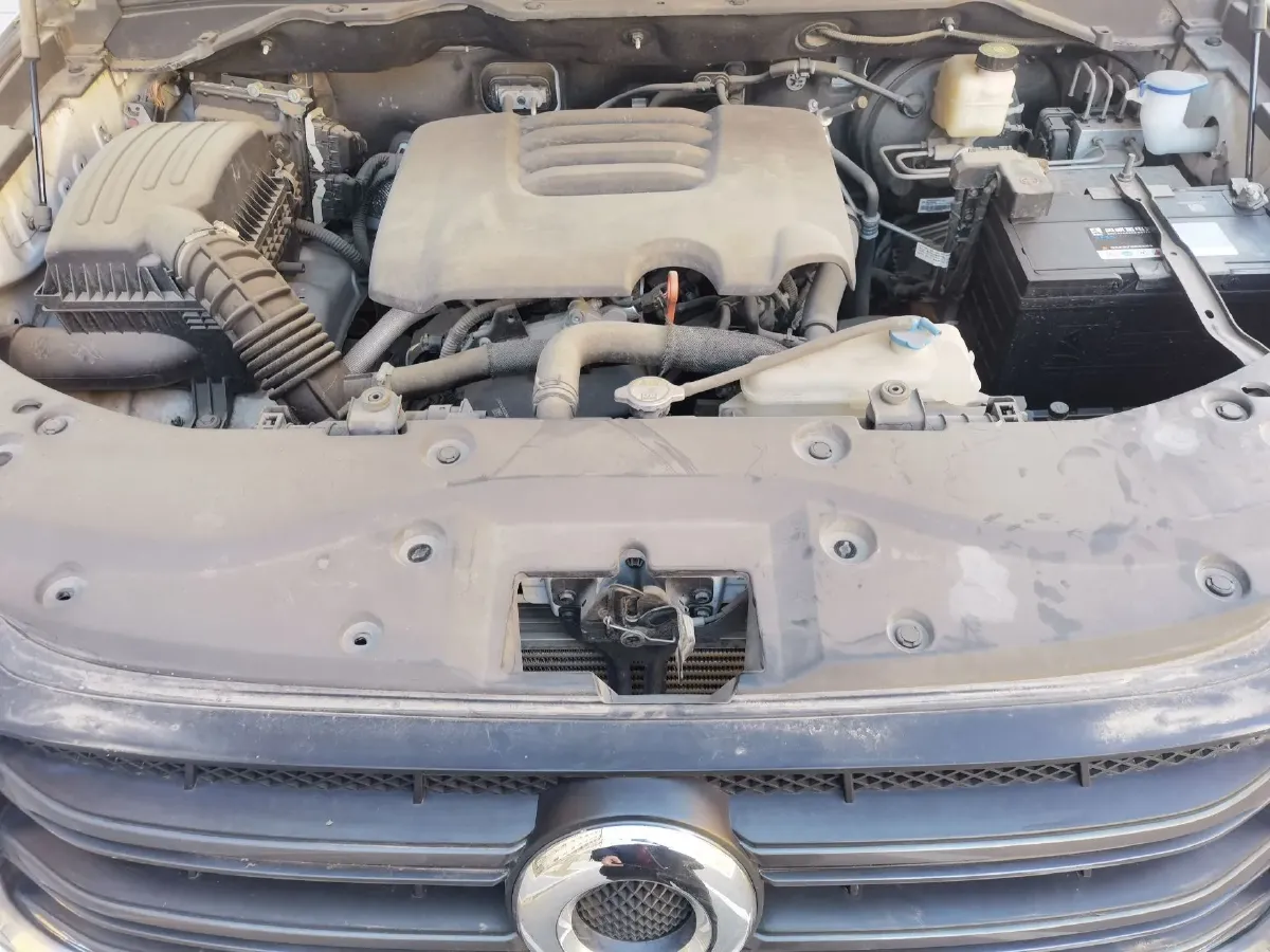 2019 Great Wall Poer 2.0T 190HP L4 8AT,autocango,china used car exporter,china ev exporter,chinese used car exporter,chinese used ev exporter