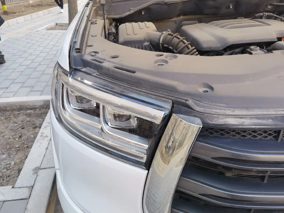 2019 Great Wall Poer 2.0T 190HP L4 8AT,autocango,china used car exporter,china ev exporter,chinese used car exporter,chinese used ev exporter