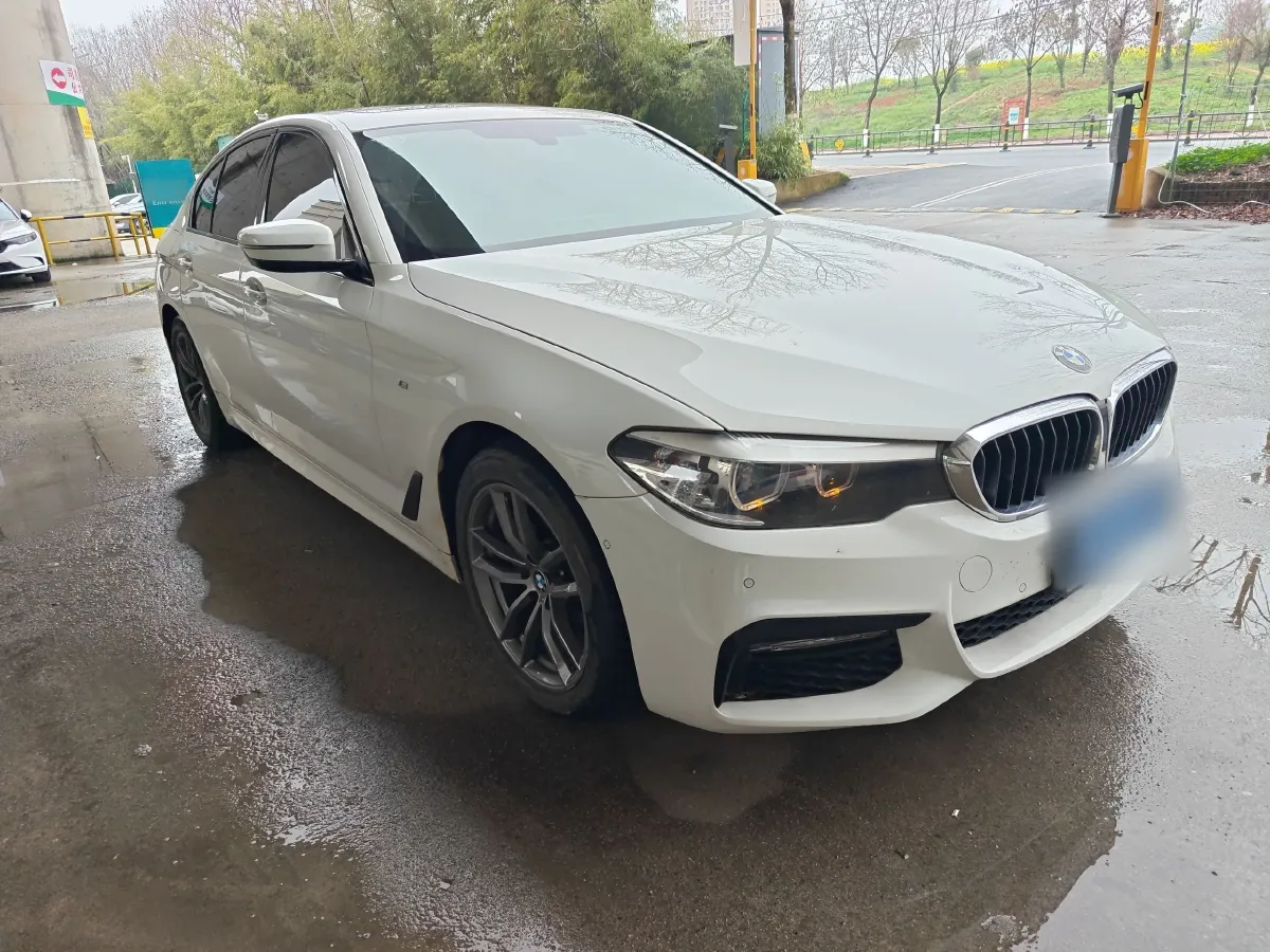 2018 BMW 5 Series 2.0T 184HP L4 8AT,autocango,china used car exporter,china ev exporter,chinese used car exporter,chinese used ev exporter