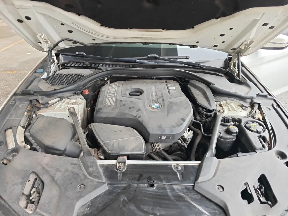 2018 BMW 5 Series 2.0T 184HP L4 8AT,autocango,china used car exporter,china ev exporter,chinese used car exporter,chinese used ev exporter